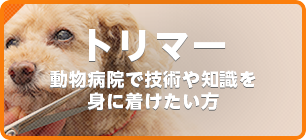 トリマー　動物病院で技術や知識を身につけたい方