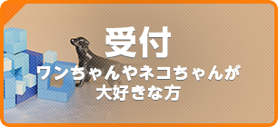 受付　ワンちゃんやネコちゃんが大好きな方