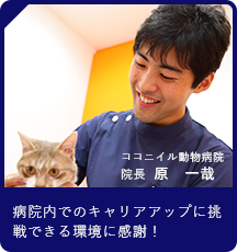 ココニイル動物病院 院長  原　一哉