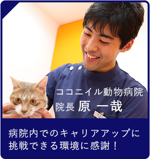 ココニイル動物病院 院長 原一哉 病院内でのキャリアアップに挑戦できる環境に感謝！