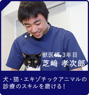 獣医師3年目 芝﨑孝次郎 犬・猫・エキゾチックアニマルの 診療のスキルを磨ける！
