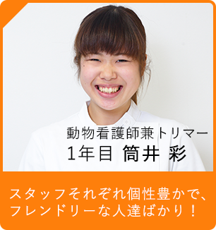 動物看護師兼トリマー1年目 筒井彩 スタッフそれぞれ個性豊かで、フレンドリーな人達ばかり！