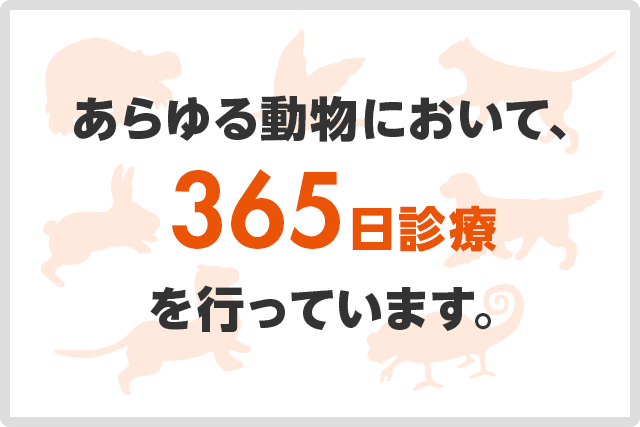 あらゆる動物において、365日診療を行っています。